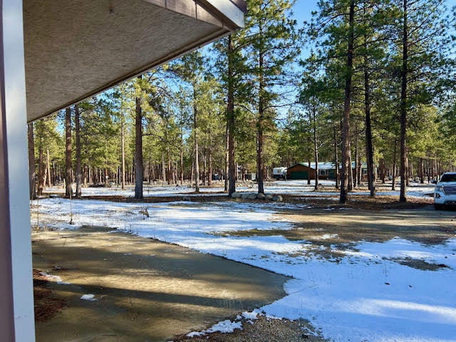 823 Little Lion Road