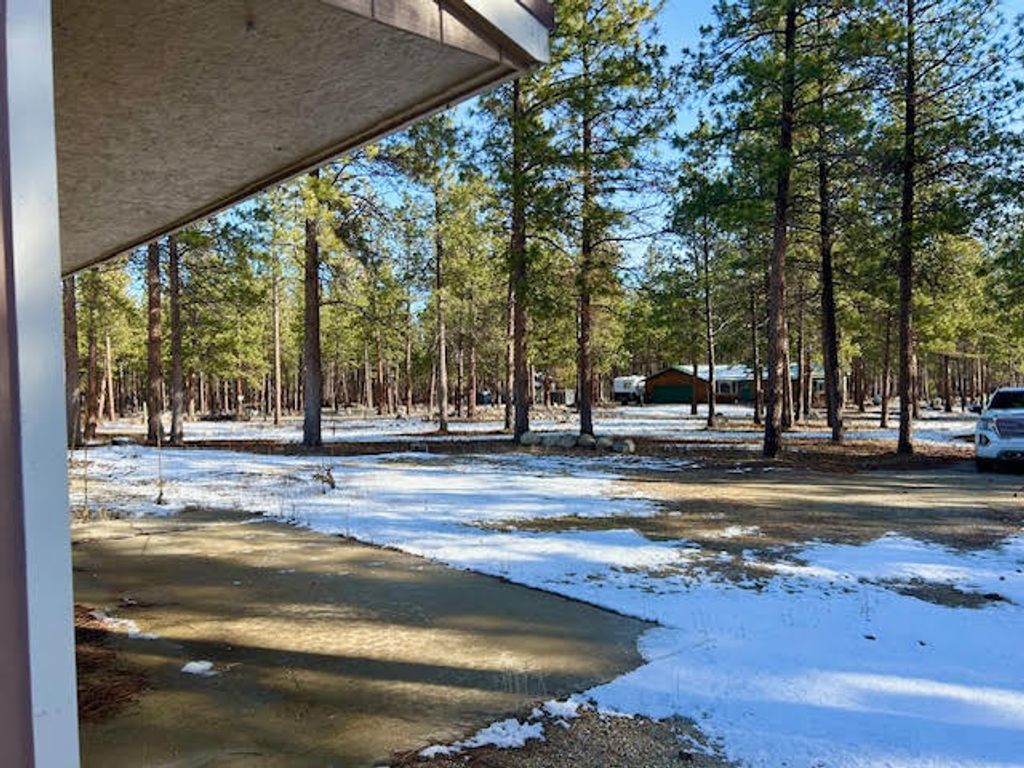 Photo of 823 Little Lion Road, Hamilton, MT 59840 (MLS # 30065031)