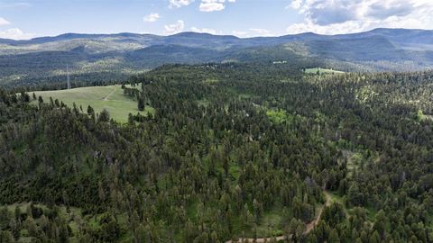 Tiny photo for 121 High Spring Lane, Helmville, MT 59843 (MLS # 30071782)