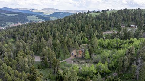 Tiny photo for 121 High Spring Lane, Helmville, MT 59843 (MLS # 30071782)