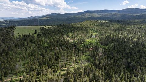 Tiny photo for 121 High Spring Lane, Helmville, MT 59843 (MLS # 30071782)