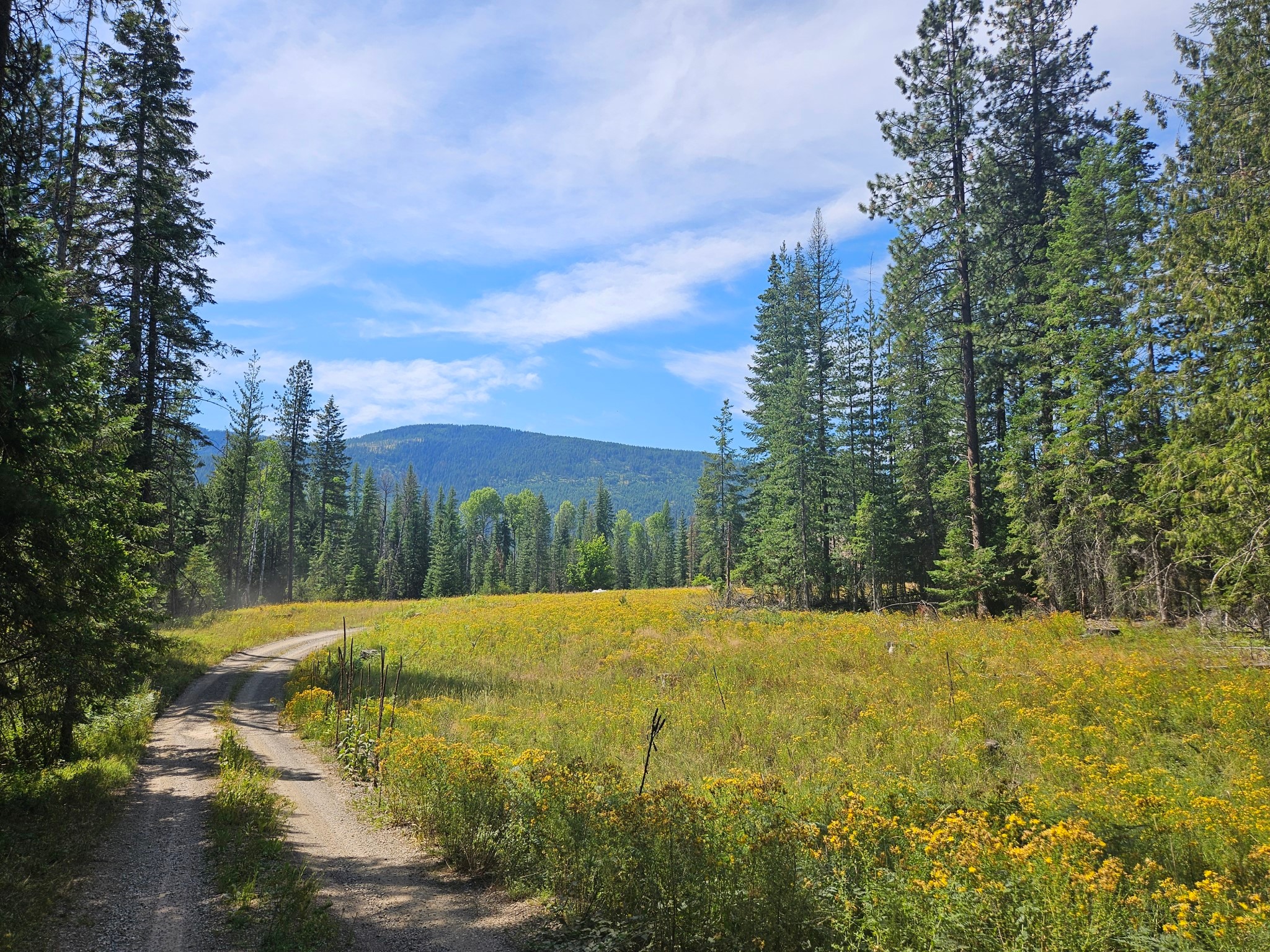 230 Upper River Road