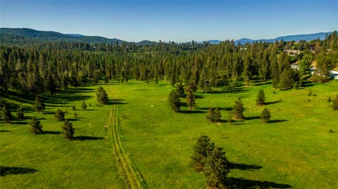 Tiny photo for NHN Northshore Drive #Lot 48, Bigfork, MT 59911 (MLS # 30076172)