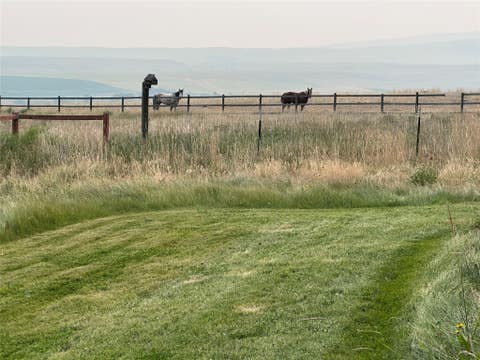Tiny photo for 23 Warren Court, Hall, MT 59837 (MLS # 30076489)