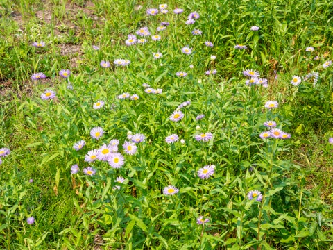 Tiny photo for 182 Ridge Run Drive, Whitefish, MT 59937 (MLS # 30076048)