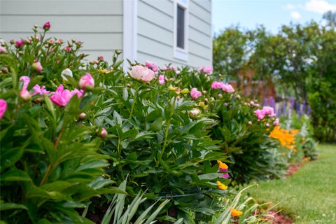 Tiny photo for 610 Cody Lane, Stevensville, MT 59870 (MLS # 30072525)