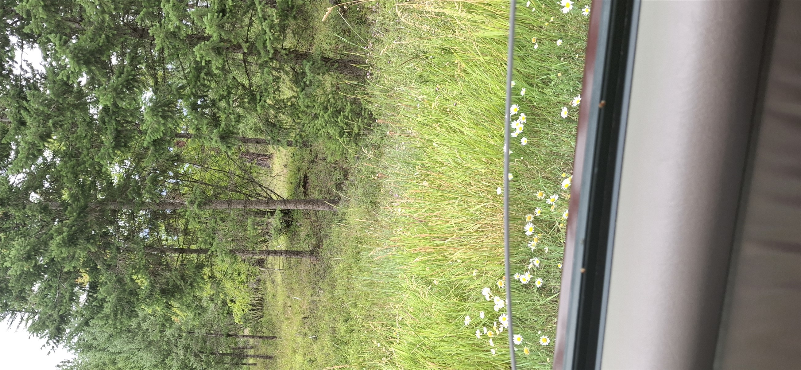 302 Skookum Road Lot 12
