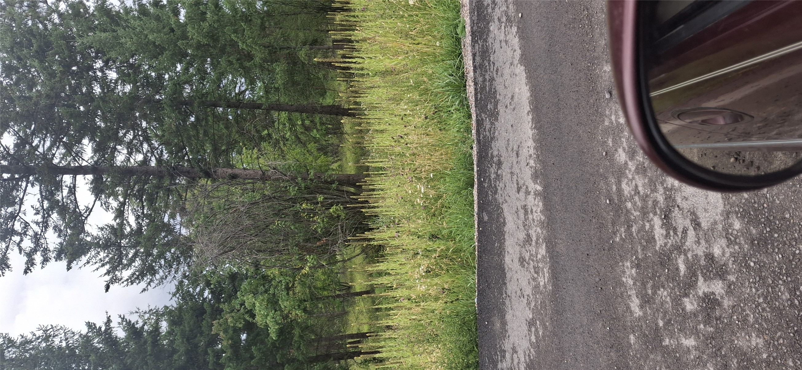 302 Skookum Road Lot 12