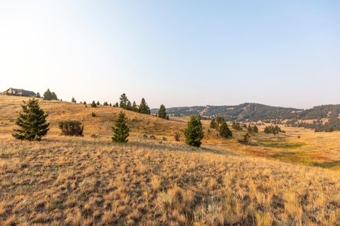Tiny photo for Lot 21 Ski Area Loop, Butte, MT 59701 (MLS # 30076855)