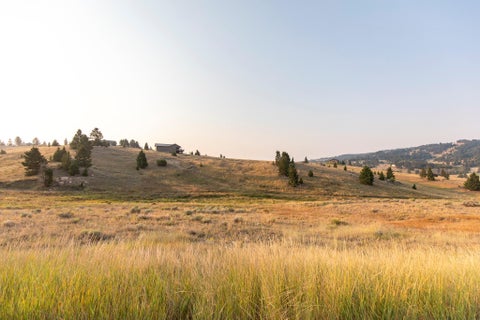 Tiny photo for Lot 21 Ski Area Loop, Butte, MT 59701 (MLS # 30076855)