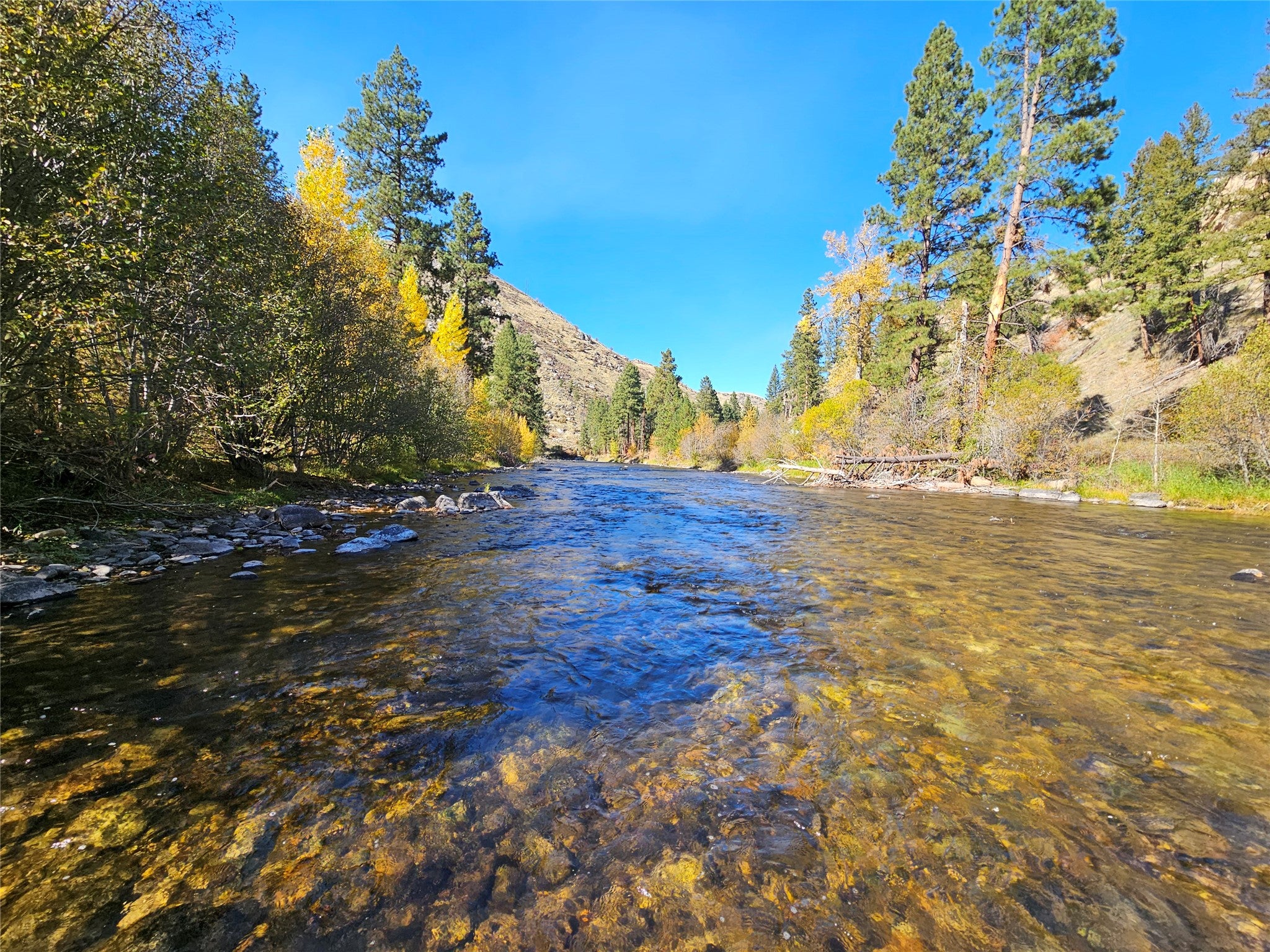 128 Beam Creek Trail