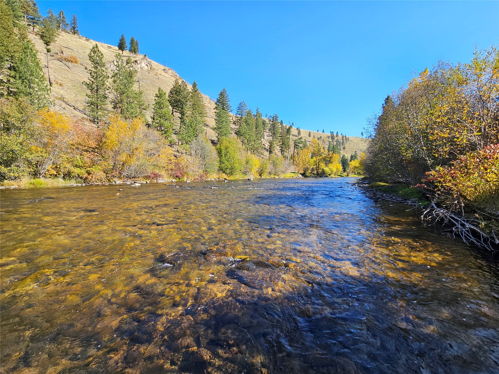 128 Beam Creek Trail