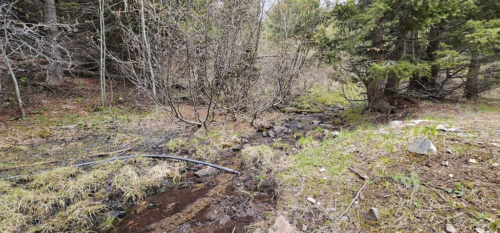 Photo of 13 Tract, Garnet Range, Drummond, MT 59832 (MLS # 30060897)