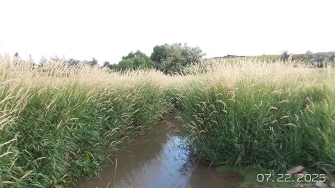 Tiny photo for 8377 US Hwy 89, Great Falls, MT 59405 (MLS # 30069638)