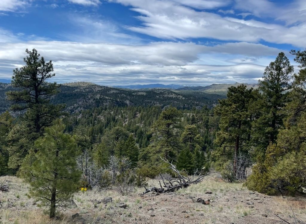 Photo of 100 Dryfork Lane, Cascade, MT 59421 (MLS # 30060868)