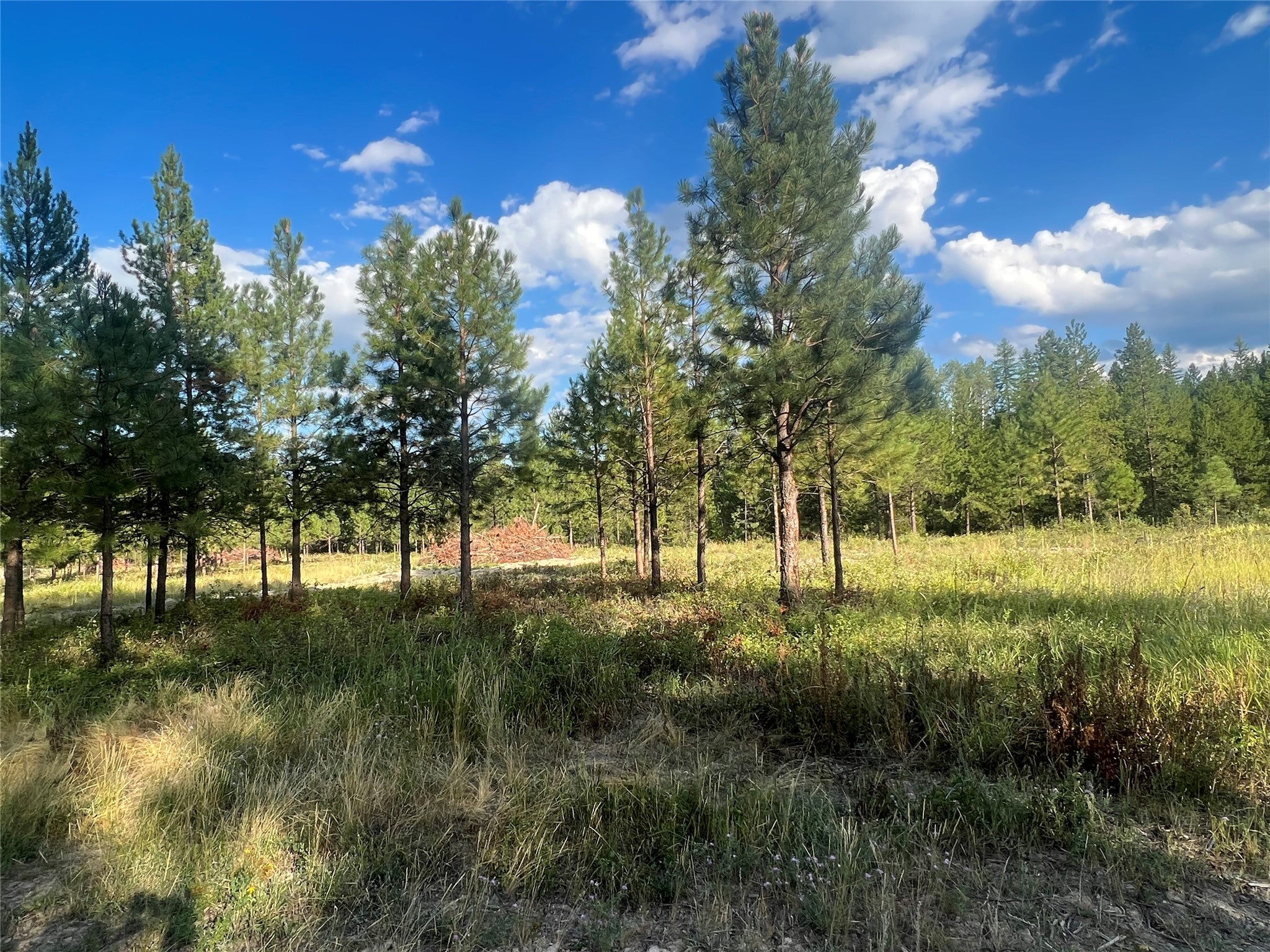 TBD Granite Lake Road 3