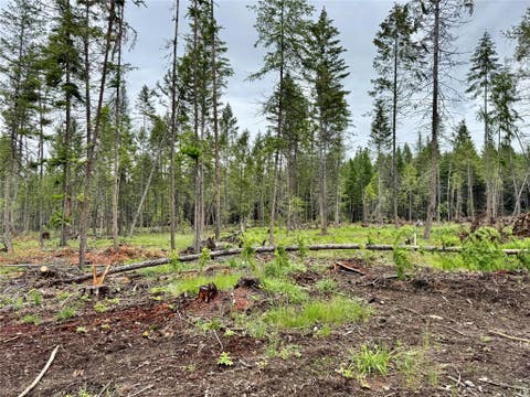 Tiny photo for 312 Lodge Pole Way, Libby, MT 59923 (MLS # 30072079)