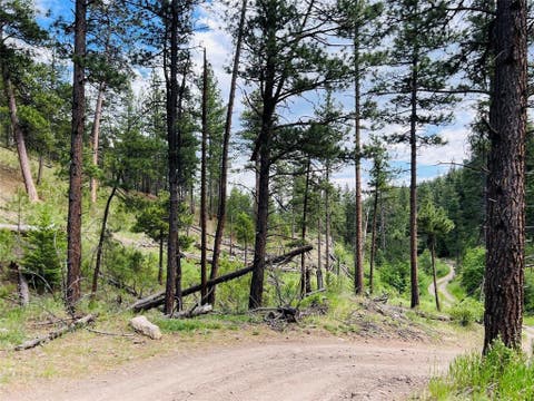 Tiny photo for NHN Upper Andy Creek Lane, Cascade, MT 59421 (MLS # 30076921)