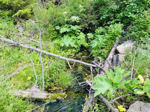 Tiny photo for NHN Upper Andy Creek Lane, Cascade, MT 59421 (MLS # 30076921)