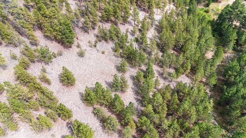 Tiny photo for NHN Upper Andy Creek Lane, Cascade, MT 59421 (MLS # 30076921)