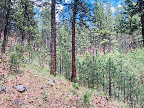 Tiny photo for NHN Upper Andy Creek Lane, Cascade, MT 59421 (MLS # 30076921)