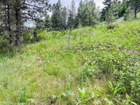 Tiny photo for NHN Upper Andy Creek Lane, Cascade, MT 59421 (MLS # 30076921)
