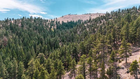Tiny photo for NHN Upper Andy Creek Lane, Cascade, MT 59421 (MLS # 30076921)
