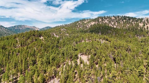 Tiny photo for NHN Upper Andy Creek Lane, Cascade, MT 59421 (MLS # 30076921)