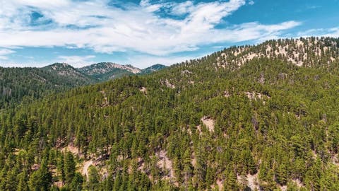 Tiny photo for NHN Upper Andy Creek Lane, Cascade, MT 59421 (MLS # 30076921)
