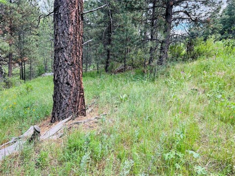 Tiny photo for NHN Upper Andy Creek Lane, Cascade, MT 59421 (MLS # 30076921)