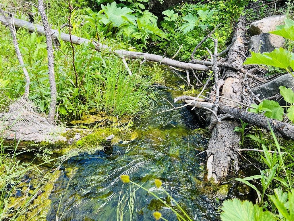 Photo of NHN Upper Andy Creek Lane, Cascade, MT 59421 (MLS # 30076921)