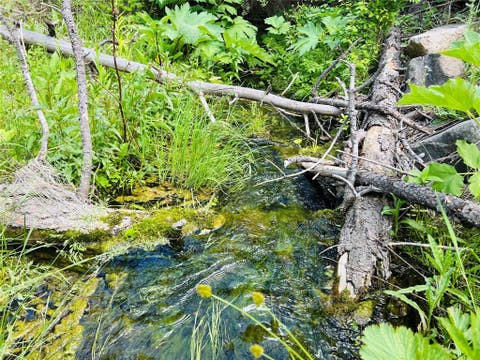 Tiny photo for NHN Upper Andy Creek Lane, Cascade, MT 59421 (MLS # 30076921)