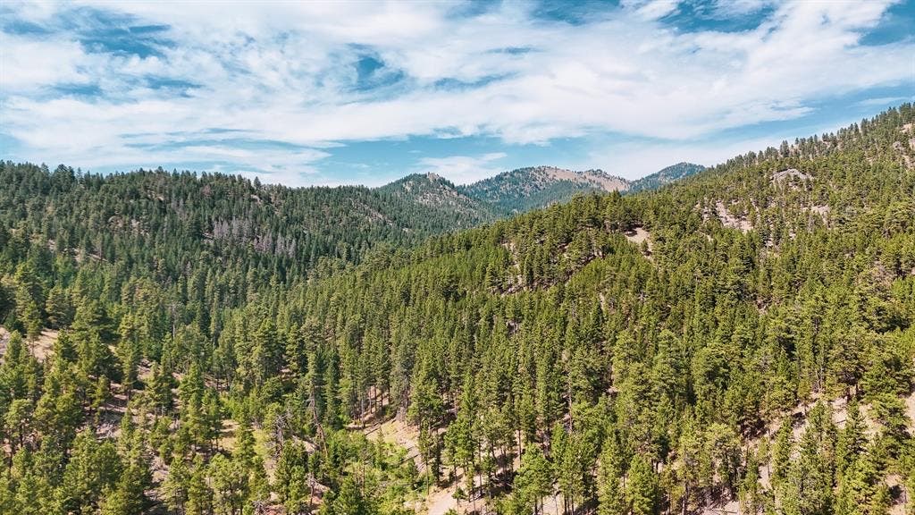 Photo of NHN Upper Andy Creek Lane, Cascade, MT 59421 (MLS # 30076921)