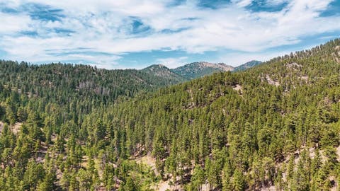 Photo of NHN Upper Andy Creek Lane, Cascade, MT 59421 (MLS # 30076921)