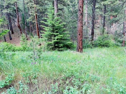 Tiny photo for NHN Upper Andy Creek Lane, Cascade, MT 59421 (MLS # 30076921)