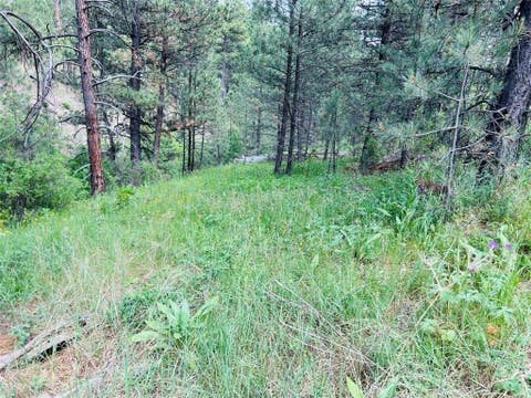 Tiny photo for NHN Upper Andy Creek Lane, Cascade, MT 59421 (MLS # 30076921)
