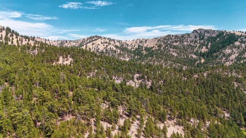 Tiny photo for NHN Upper Andy Creek Lane, Cascade, MT 59421 (MLS # 30076921)