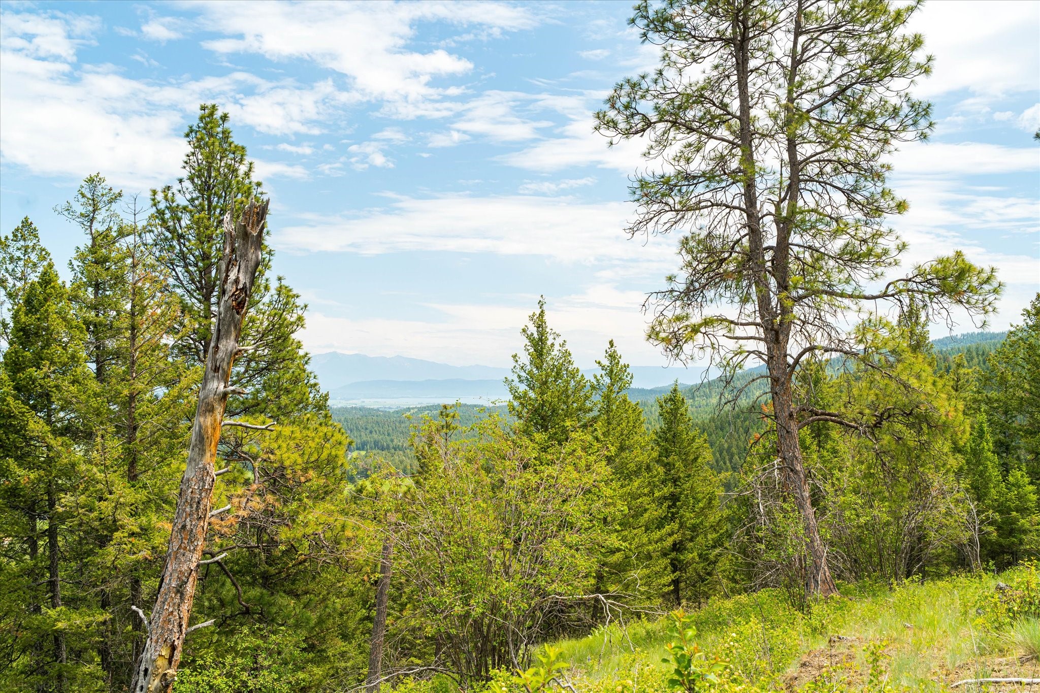 Kalispell, Montana 59901, United States, ,Land,Active,99322