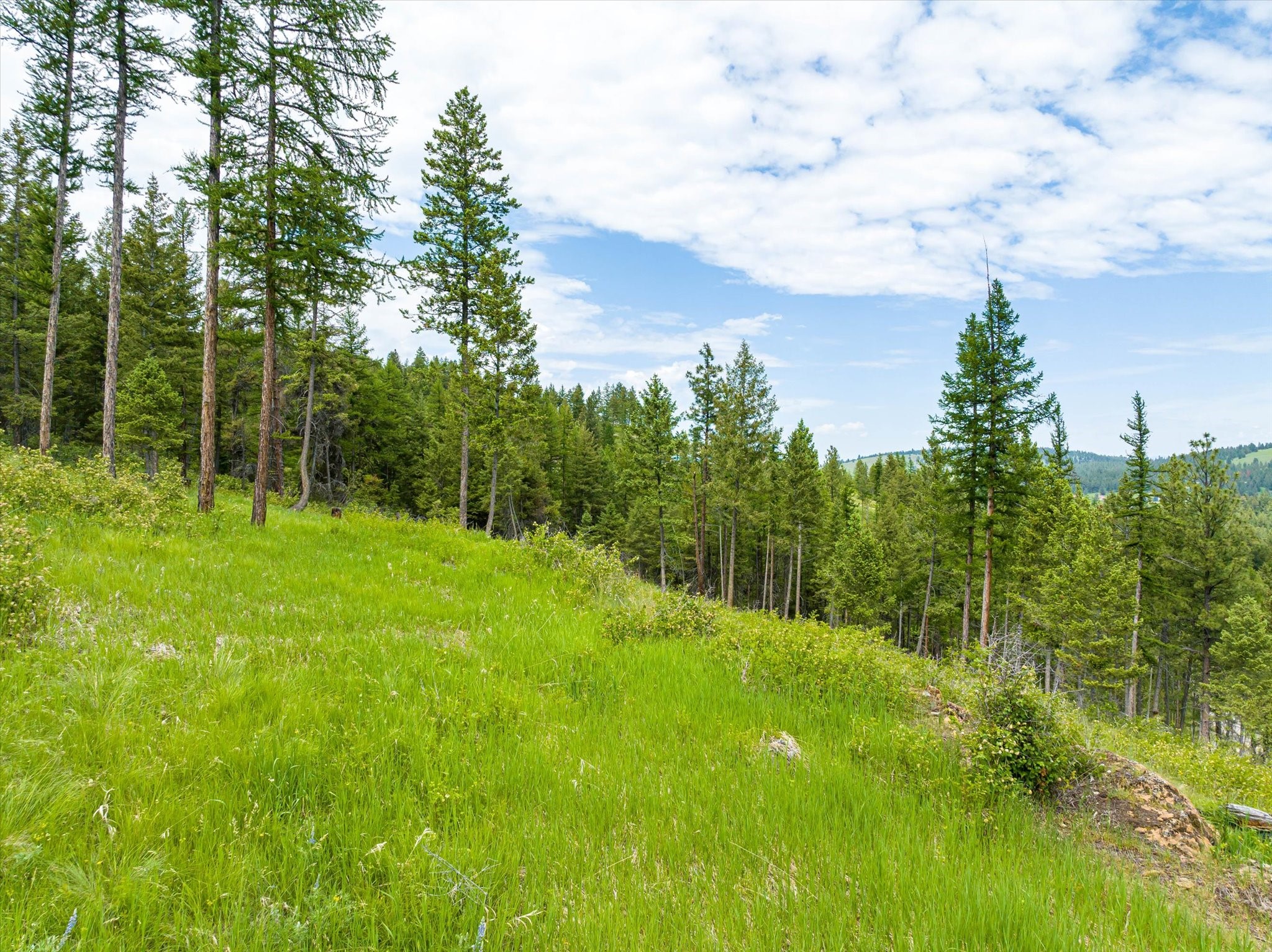 Kalispell, Montana 59901, United States, ,Land,Active,99322