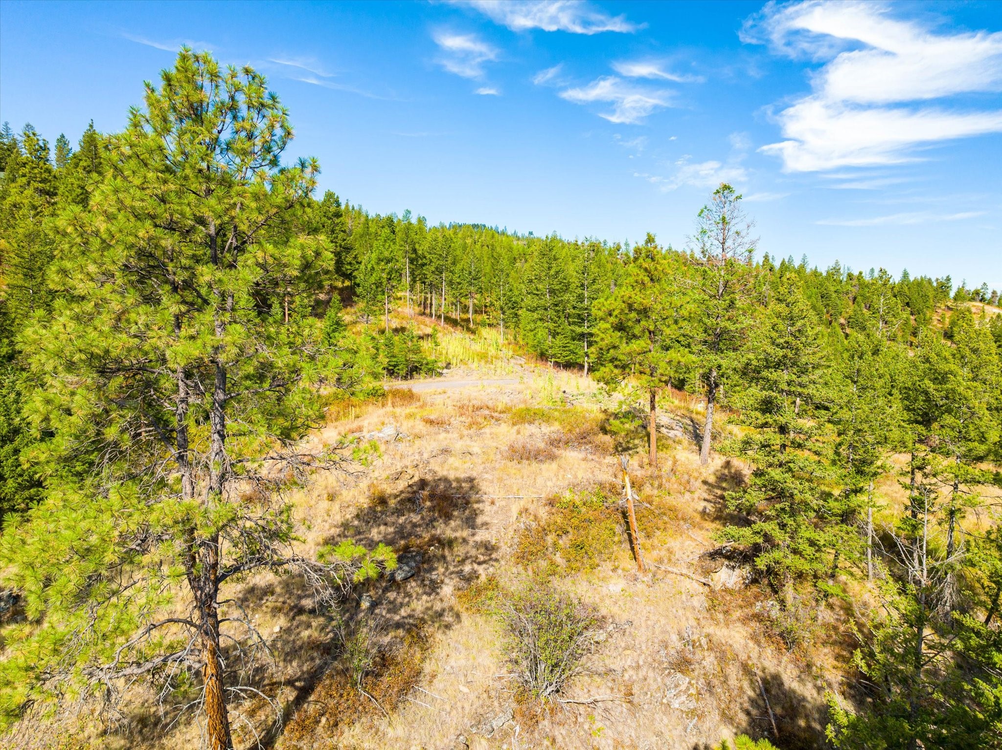 Kalispell, Montana 59901, United States, ,Land,Active,99322