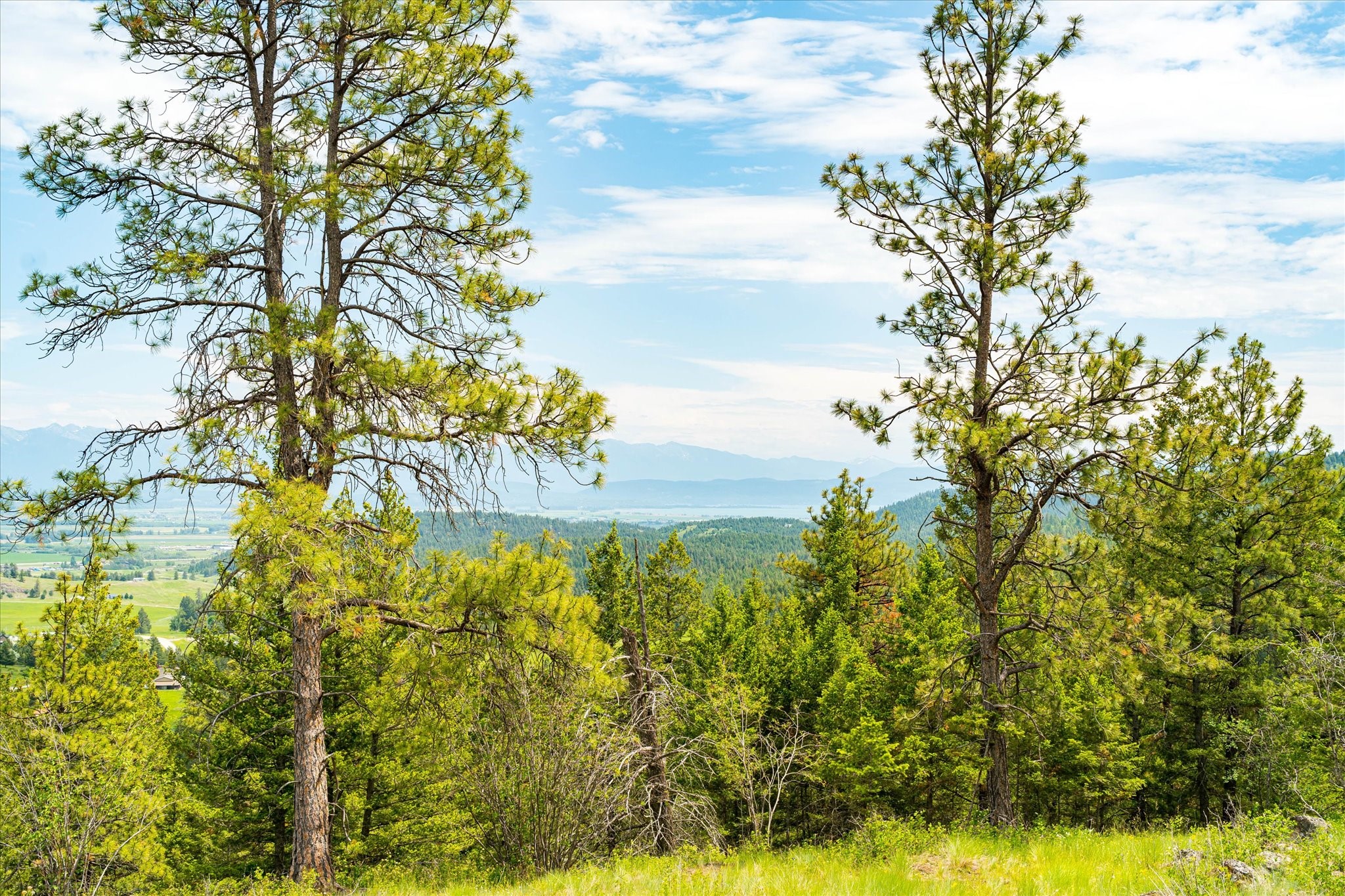 Kalispell, Montana 59901, United States, ,Land,Active,99322