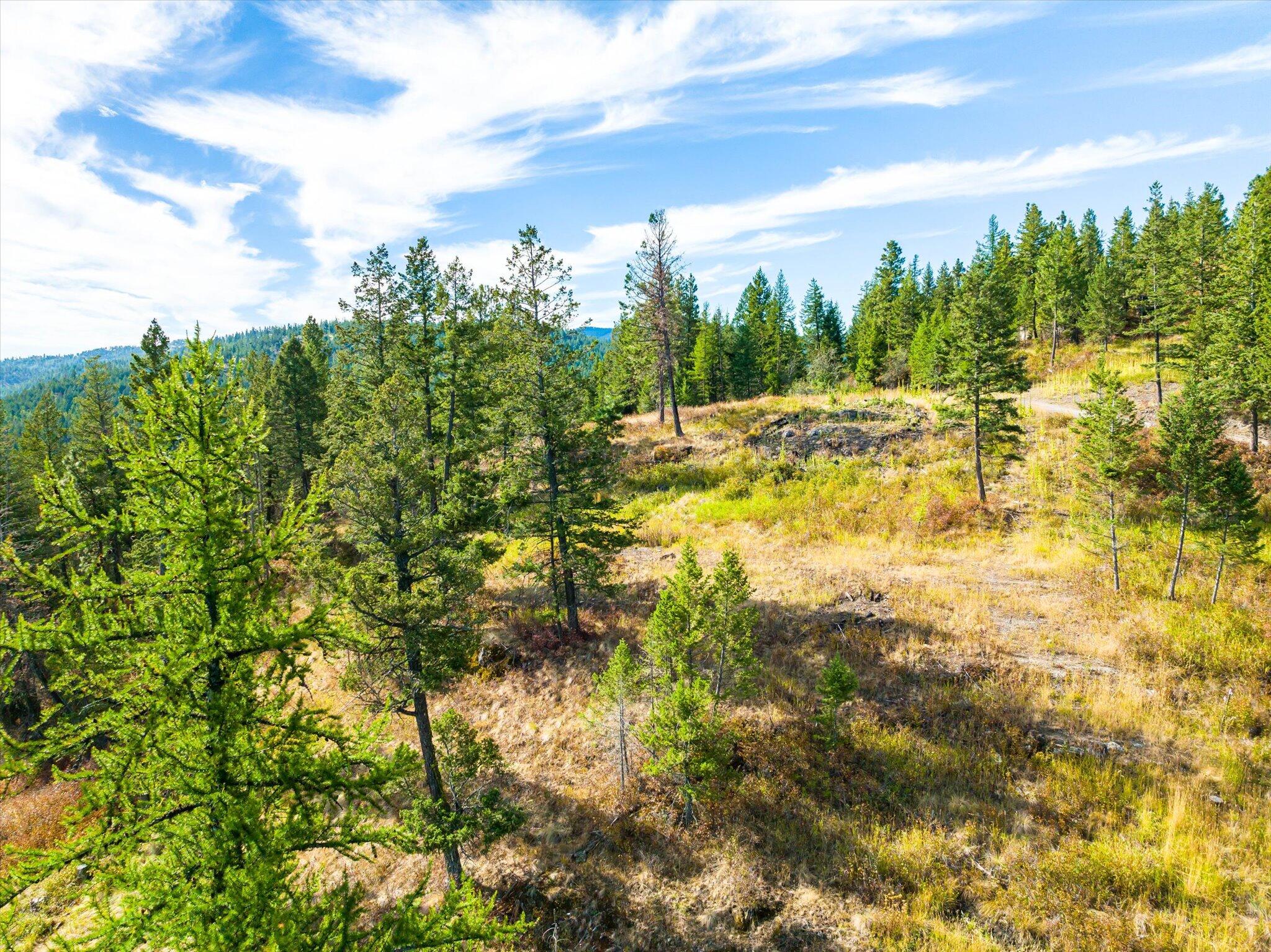 Kalispell, Montana 59901, United States, ,Land,Active,99322