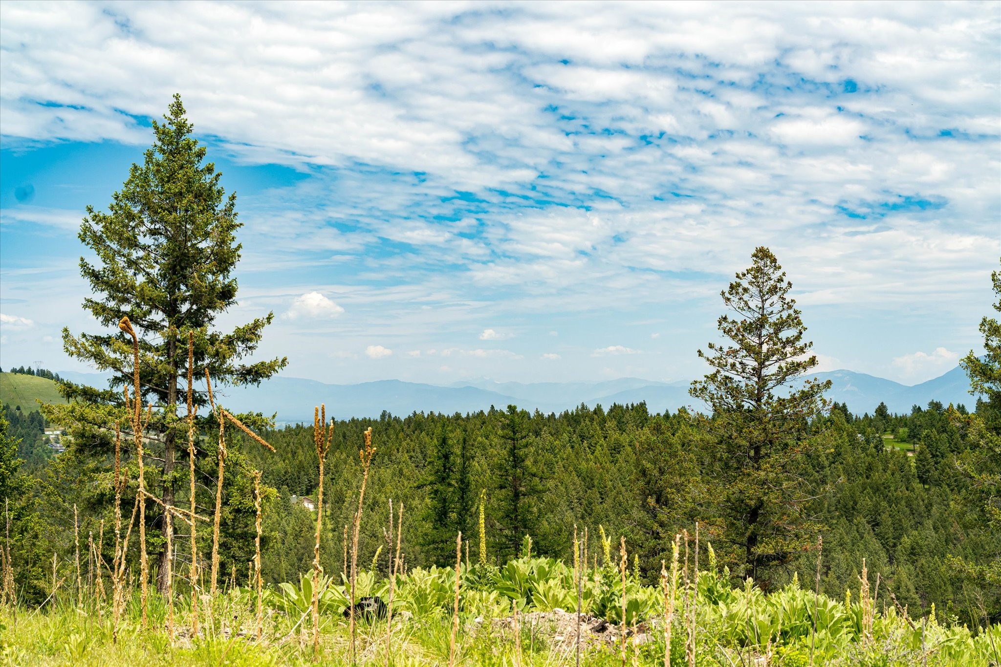 Kalispell, Montana 59901, United States, ,Land,Active,99322