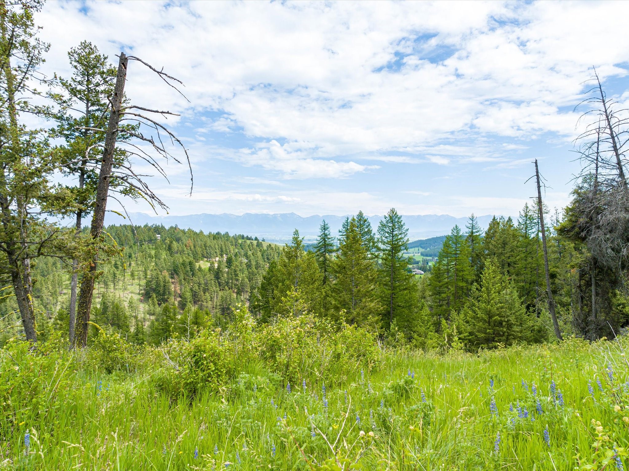 Kalispell, Montana 59901, United States, ,Land,Active,99322