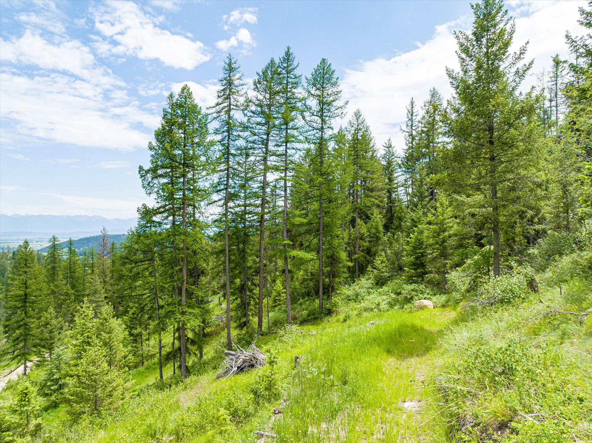 Kalispell, Montana 59901, United States, ,Land,Active,99322