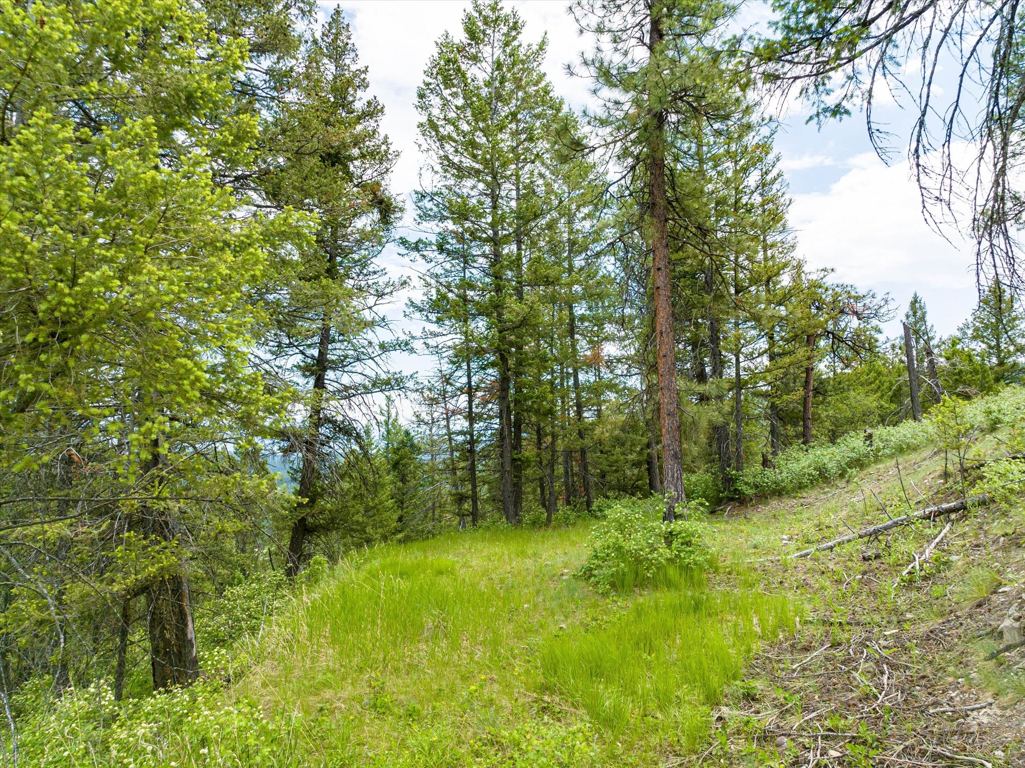 Kalispell, Montana 59901, United States, ,Land,Active,99322