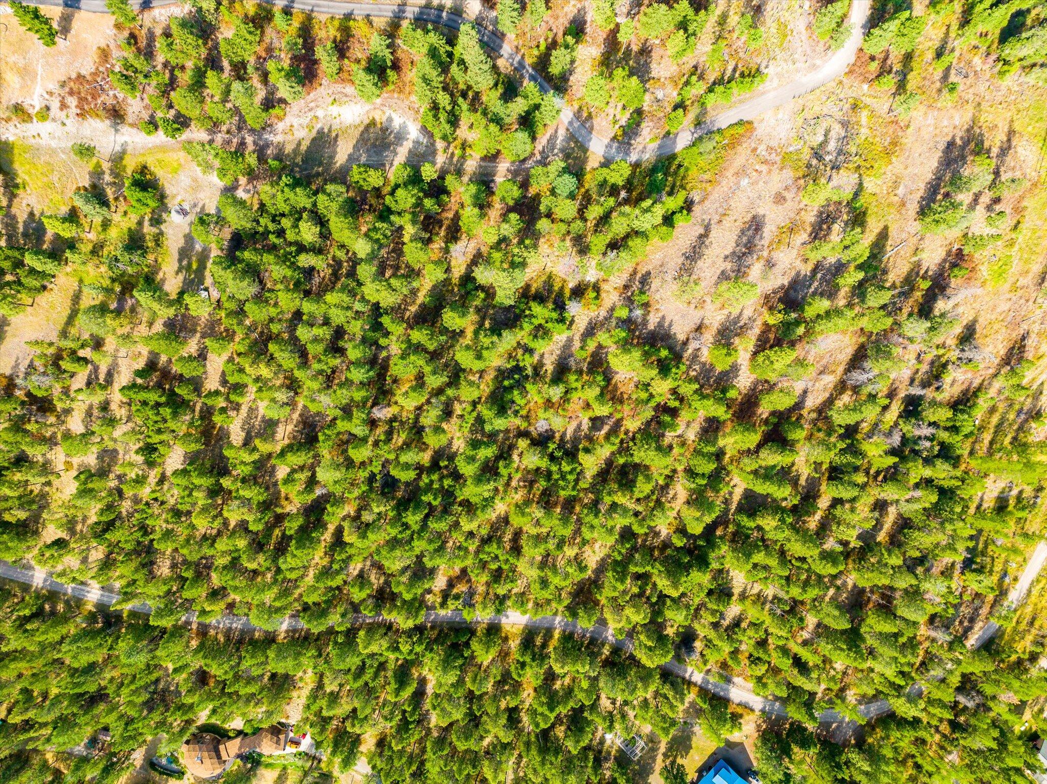 Kalispell, Montana 59901, United States, ,Land,Active,99322