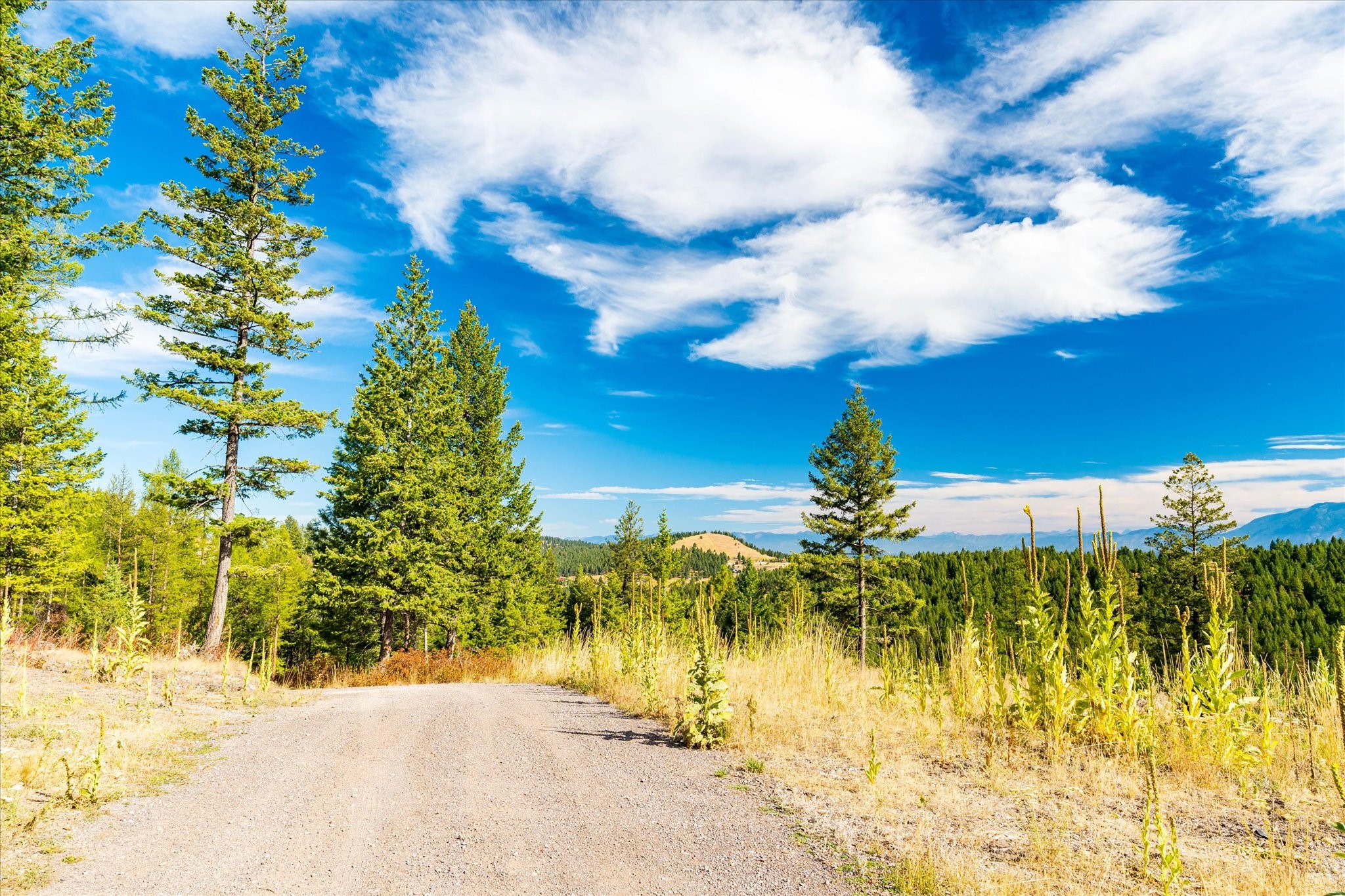 Kalispell, Montana 59901, United States, ,Land,Active,99322