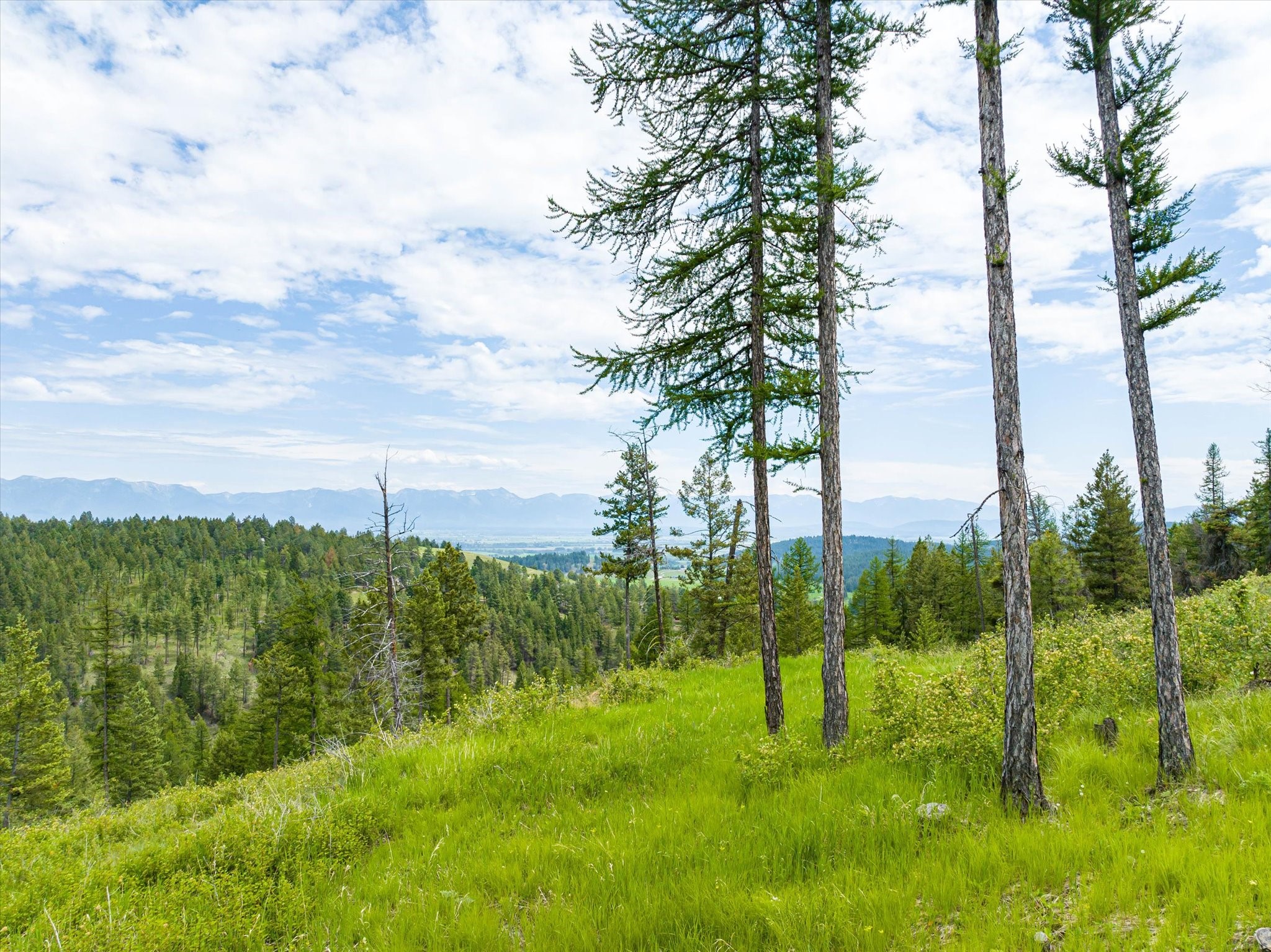 Kalispell, Montana 59901, United States, ,Land,Active,99322