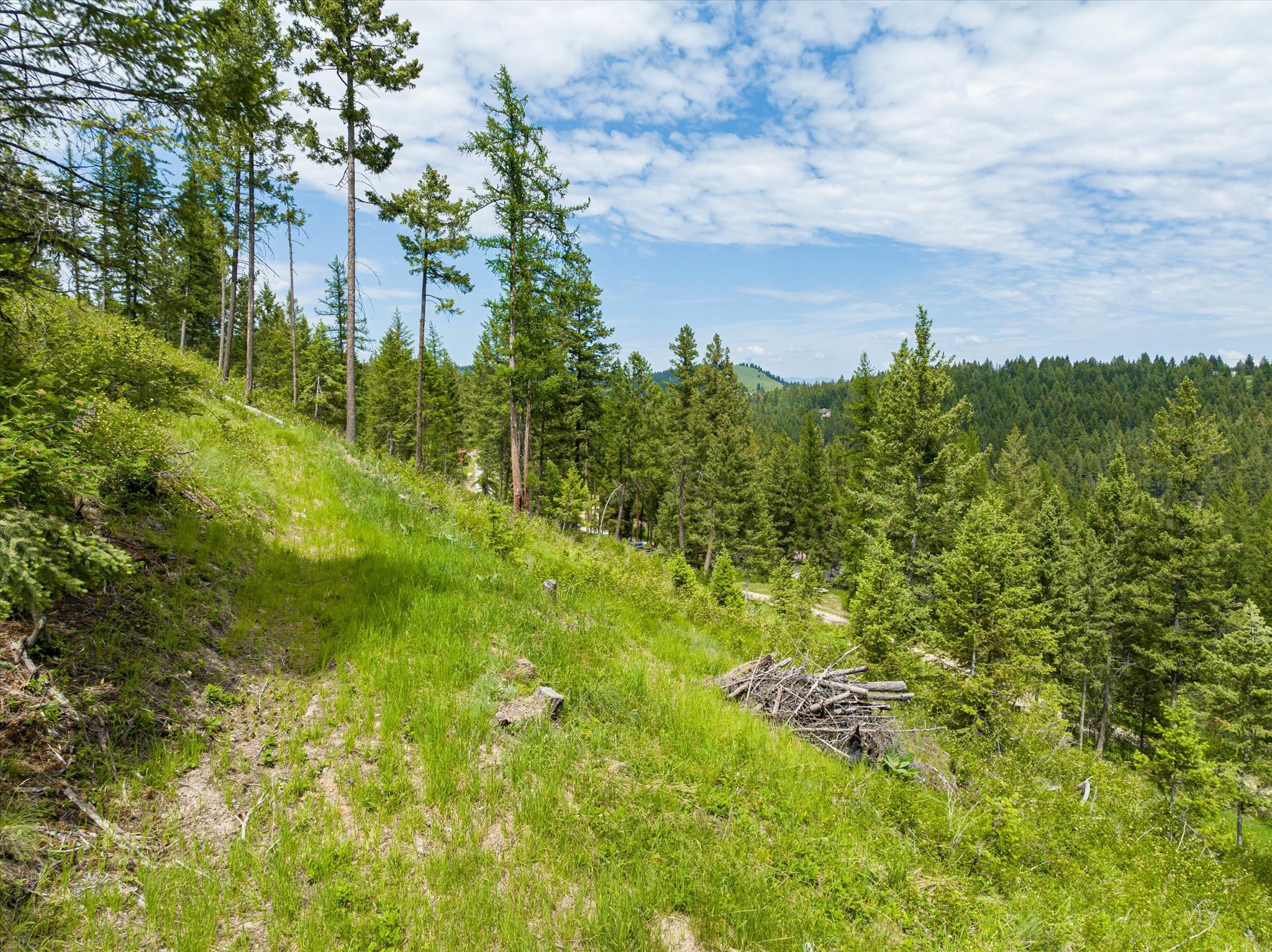 Kalispell, Montana 59901, United States, ,Land,Active,99322